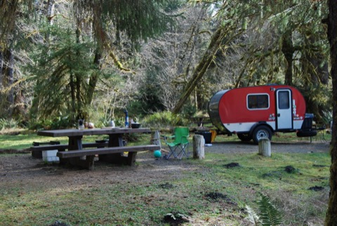 Hoh Rain Forest Campground — Olympic National Park