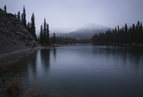 Horseshoe Lake Trail — Denali National Park