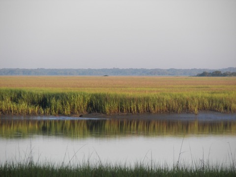 Hunting Island — Marsh Boardwalk &amp; Lighthouse Trails