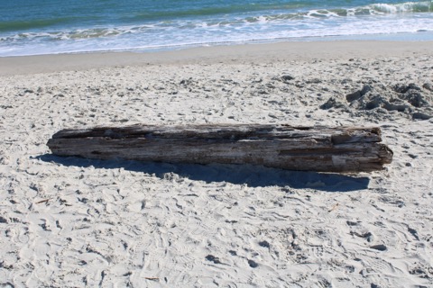 Huntington Beach State Park — Murrells Inlet
