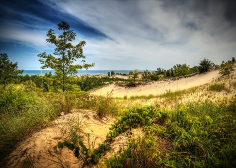 Indiana Dunes State Park Campground — Chesterton