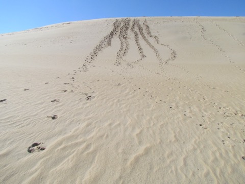 Jockey's Ridge State Park — Outer Banks