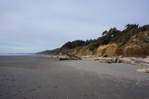 Kalaloch Campground — Olympic National Park (coast)