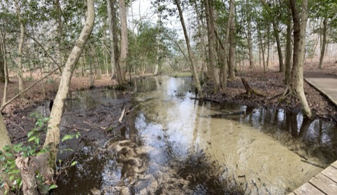 Killens Pond State Park — Felton
