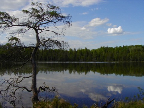 Lake Bemidji State Park — Bemidji