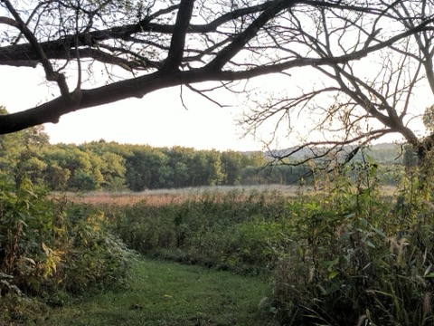 Ledges State Park — Boone