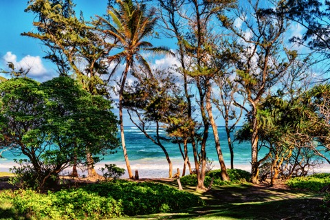 Malaekahana State Recreation Area — windward Oahu (between Laie and Kahuku)