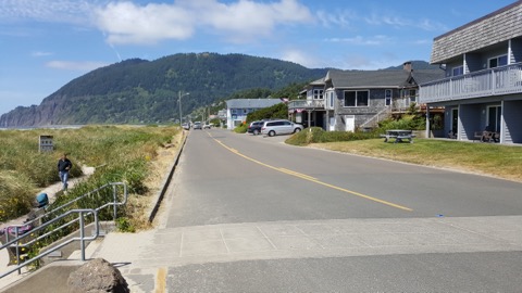 Manzanita
