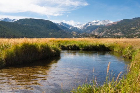 Moraine Park Campground — Rocky Mountain National Park
