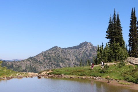 Naches Peak Loop — Mount Rainier (east side)