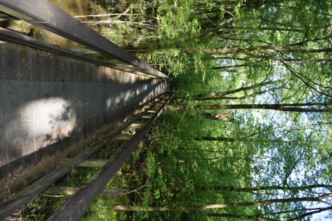 Natchez Trace National Scenic Trail