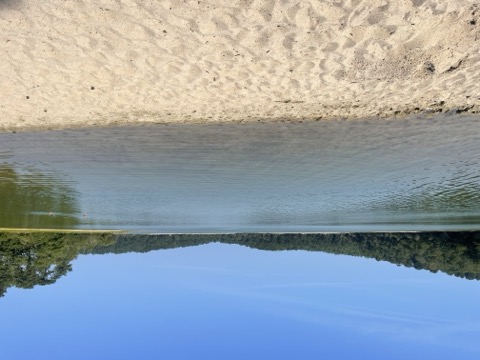 Nickerson State Park — Brewster (Cape Cod)