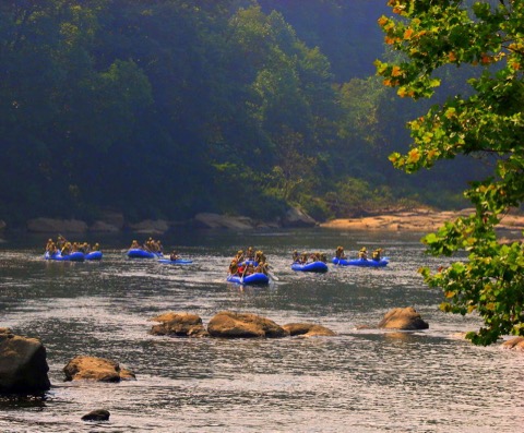 Ohiopyle State Park (Kentuck Campground) — Ohiopyle