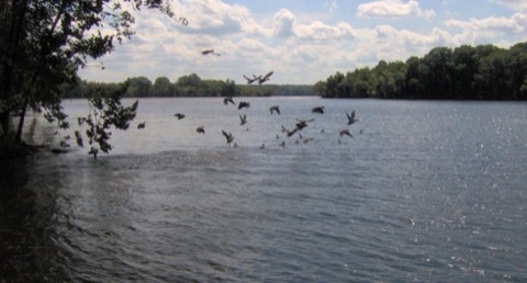 Old Hickory Lake — near Nashville