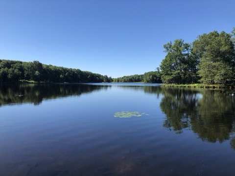 Otter Lake Camp-Resort — East Stroudsburg (Poconos)