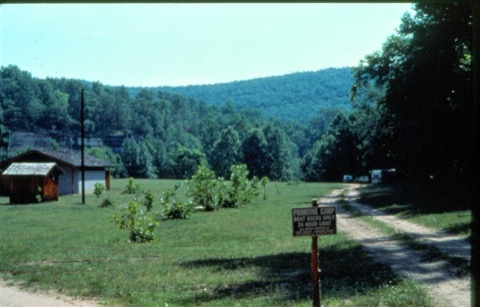 Ozark Campground — Buffalo National River (near Jasper)