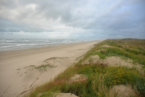 Padre Island National Seashore — Corpus Christi