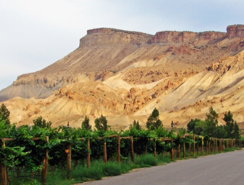 Palisade Basecamp RV Resort