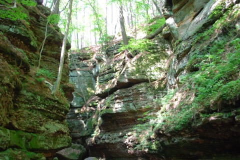 Parfrey's Glen — near Devil's Lake