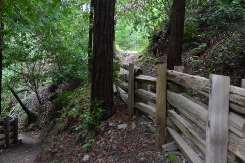 Pfeiffer Falls / Valley View Loop — Pfeiffer Big Sur State Park