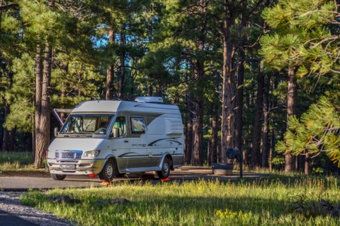 Pine Grove Campground — Coconino National Forest (Flagstaff)