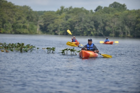 Pocomoke River State Park — Snow Hill