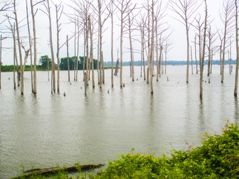 Poverty Point Reservoir State Park — Delhi