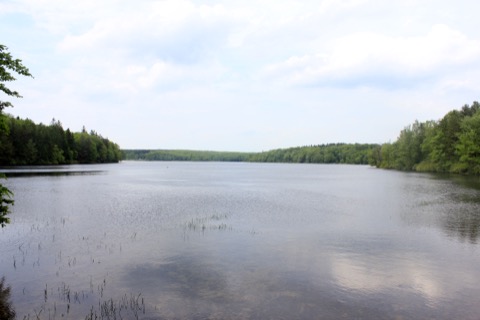Promised Land State Park — Greentown (Poconos)