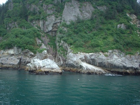 Resurrection Bay shoreline — Seward