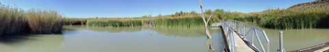 Rio Grande Village RV Park — Big Bend National Park