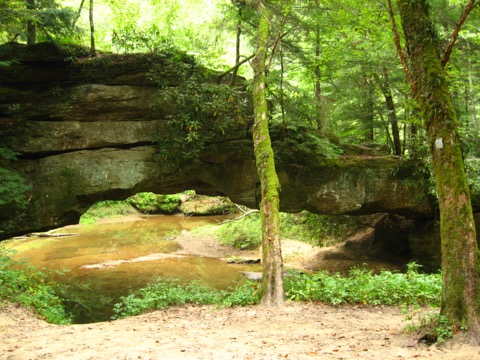 Rock Bridge / Creation Falls Loop — Red River Gorge