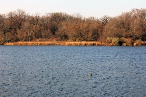 Rock Cut State Park — Loves Park (near Rockford)