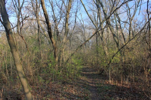 Rock Cut State Park Trails — Loves Park