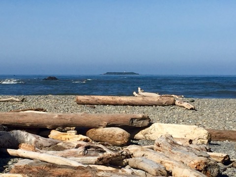 Ruby Beach — Olympic National Park