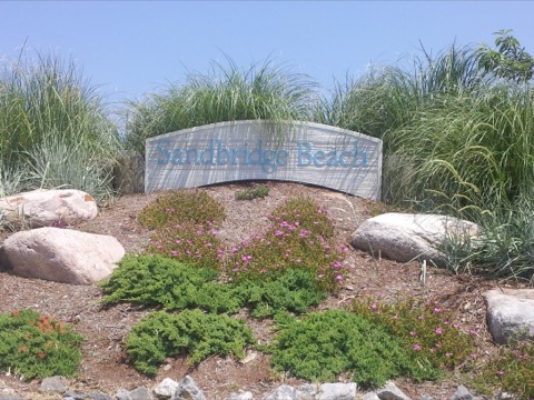 Sandbridge Beach