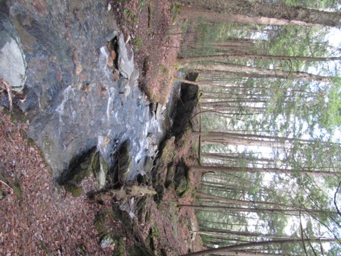 Savoy Mountain State Forest — Florida/Savoy (Berkshires)
