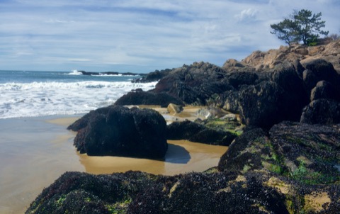Singing Beach — Manchester-by-the-Sea