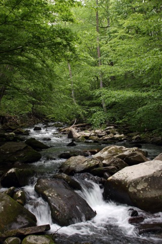 Smokemont Campground, GSMNP — Cherokee