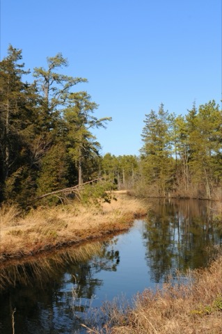 Spacious Skies Country Oaks — Dorothy