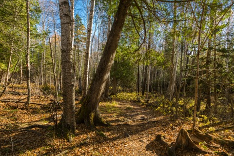 Superior Hiking Trail (day segments)