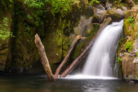 Sweet Creek Falls — near Mapleton (Central Coast)