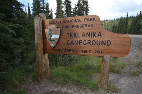 Teklanika River Campground — Denali National Park (Mile 29)