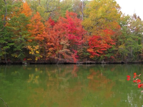 Tellico Lake — foothills of the Smokies