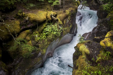 Trail of the Cedars — Glacier National Park
