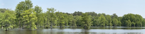 Trap Pond State Park — Laurel