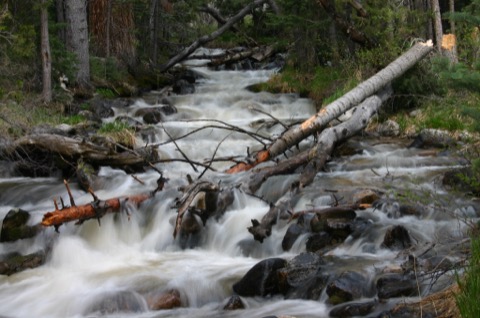 Upper Lehman Creek Campground — Great Basin National Park (Baker)