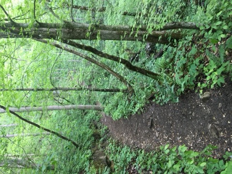 Walls of Jericho — Hytop/Estillfork