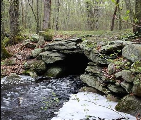 Weetamoo Woods