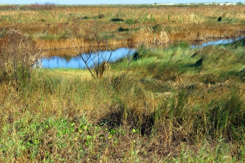 West Ship Island — Gulf Islands National Seashore