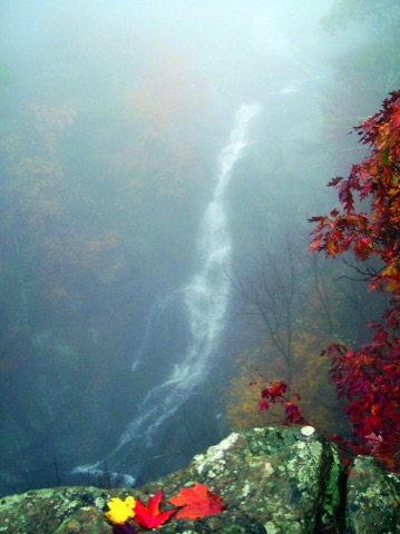 Whiteoak Canyon, Shenandoah National Park